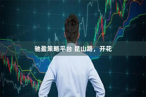 驰盈策略平台 昆山路,开花