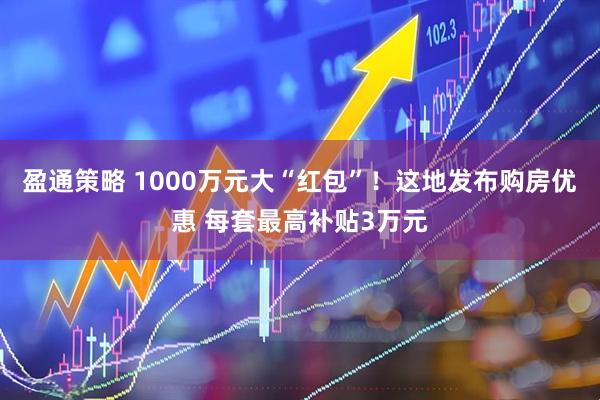 盈通策略 1000万元大“红包”！这地发布购房优惠 每套最高补贴3万元