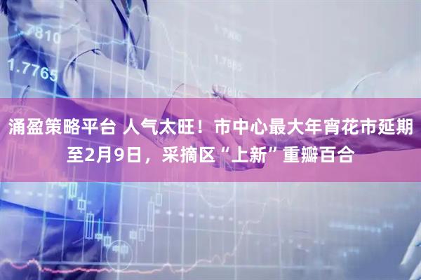 涌盈策略平台 人气太旺！市中心最大年宵花市延期至2月9日，采摘区“上新”重瓣百合