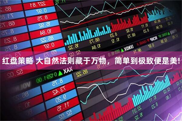 红盘策略 大自然法则藏于万物，简单到极致便是美!
