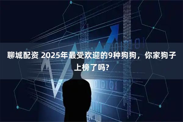 聊城配资 2025年最受欢迎的9种狗狗，你家狗子上榜了吗?