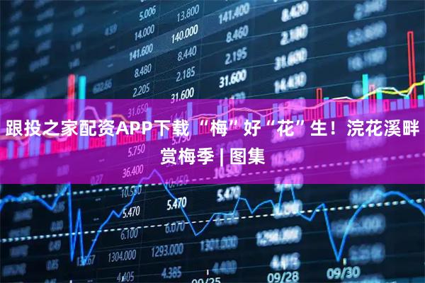 跟投之家配资APP下载 “梅”好“花”生！浣花溪畔赏梅季 | 图集