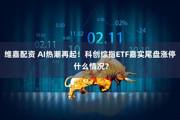维嘉配资 AI热潮再起！科创综指ETF嘉实尾盘涨停 什么情况？